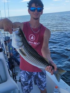 Striped bass caught in Manns Harbor