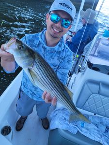 Striped bass caught in Manns Harbor