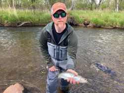 Angler catching a rainbow trout in Michigan