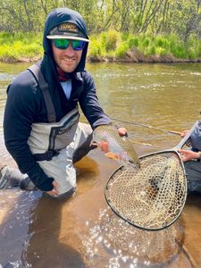 A fisherman holding a rainbow trout in St. Joseph