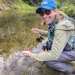 Angler fishing in St. Joseph
