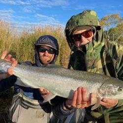 Fishing for Rainbow Trout in St. Joseph