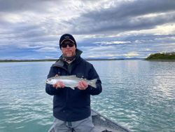 Fishing for a rainbow trout in St. Joseph