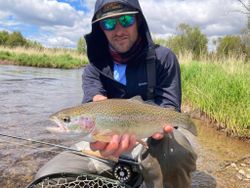 A lone rainbow trout caught while fishing in MI