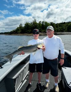 Striped Bass caught on fishing trip in ME