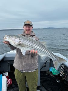 Striped bass caught in Glenburn