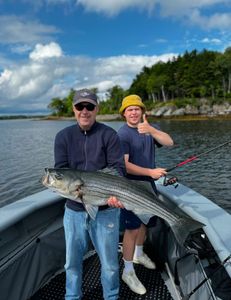 Striped bass caught in Glenburn