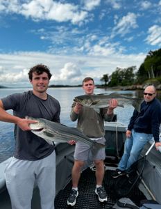 Two striped bass caught in Glenburn