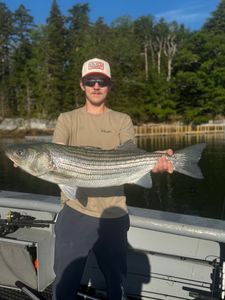 Striped bass caught in Glenburn