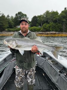 Striped bass caught in ME