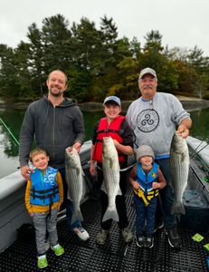 3 striped bass fish caught near Glenburn