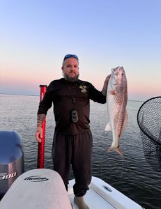 Proud with a hefty Redfish!