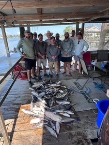 Fishing for a blue catfish in Lafitte
