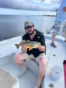 Redfish caught in Lafitte fishing