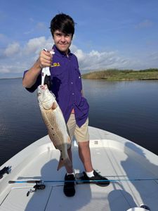 Redfish caught in Lafitte, Louisiana