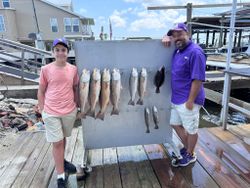 An image of 6 redfish caught while fishing in LA