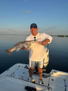 Redfish caught in LA