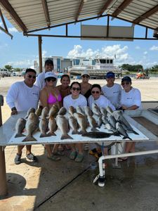 5 redfish caught in LA