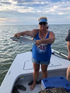 Blacktip shark, 15-inch fish, fishing in Port Lavaca