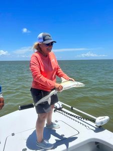 Blacktip shark, 9 inches, fishing in Port Lavaca