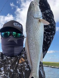 Redfish caught while fishing in TX