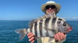 Sheepshead fish caught while fishing in Atlantic City