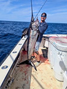 Swordfish caught while fishing in Atlantic City