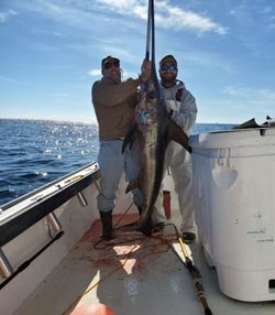 Massive swordfish caught in Atlantic City
