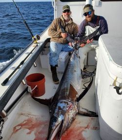 A Blue Marlin fish caught in Atlantic City while fishing