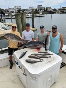 4 large fish caught fishing in NJ
