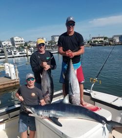 3 yellowfin tuna caught while fishing in NJ