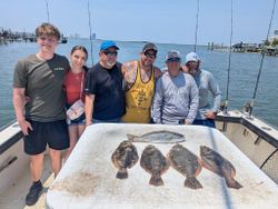 Pacific Halibut and European flounder fish caught in Atlantic City