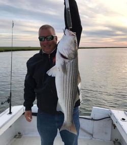 Striped bass caught by angler in Atlantic City