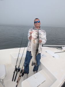Striped bass caught in Atlantic City
