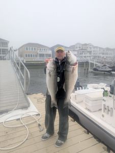 Two striped bass caught fishing in Atlantic City