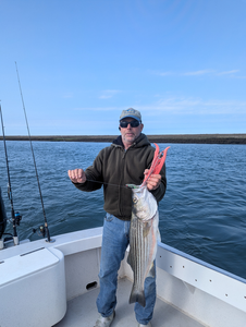 An impressive striped bass landed after a thrilling deep sea fishing adventure!