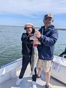 Reeled in a big striped bass at 500 Bayshore Ave under partly cloudy skies!