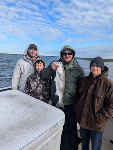 An impressive 23-inch Striped Bass reeled in at 500 Bayshore Ave!