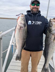 Two striped bass fish caught in NJ
