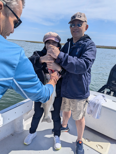 Striped bass caught while employing a variety of fishing techniques on a partly cloudy day!