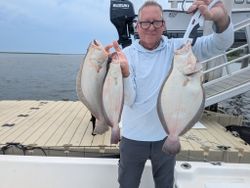Three summer flounder caught fishing in Atlantic City