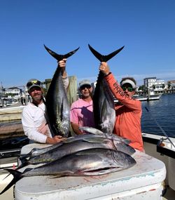 Three yellowfin tuna caught by three people in Atlantic City