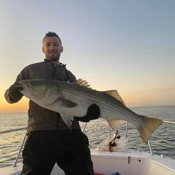 Seek Striped Bass Fishing Excitement