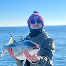 Striped Bass Fishing Trips Await