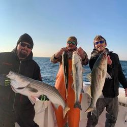 3 big fish caught by 3 people while fishing in Neptune