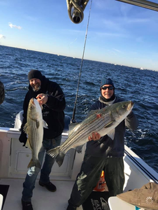 Two striped bass, 32 inches long, caught while fishing in NJ