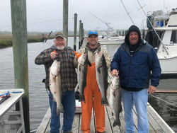 Four striped bass caught in Neptune
