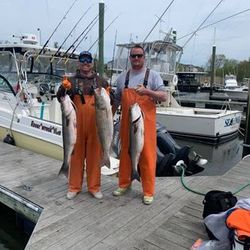 Three big fish caught while fishing in New Jersey