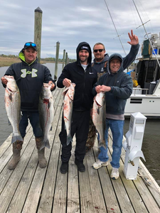 Three striped bass caught in Neptune