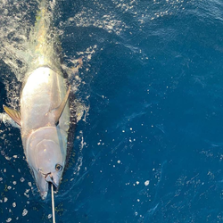 A fisherman's catch in NJ